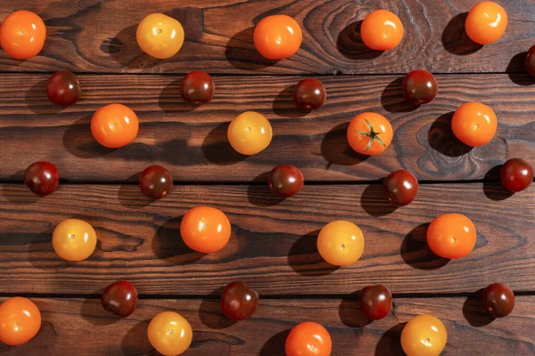 Pattern Tomatoes Sunlight Dark Wooden Background — Stock Photo, Image