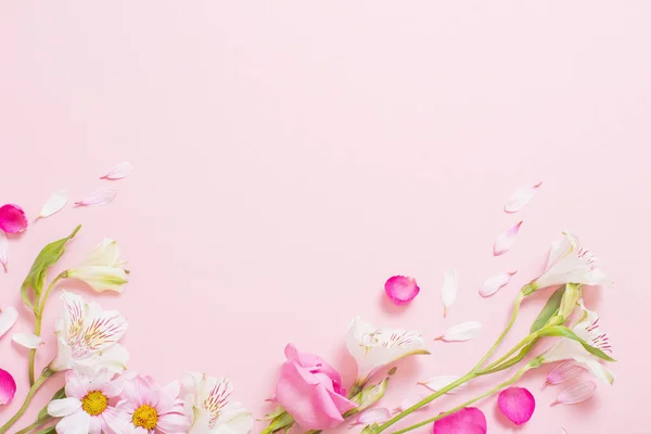Όμορφα Ροζ Και Λευκά Λουλούδια Ροζ Φόντο — Φωτογραφία Αρχείου