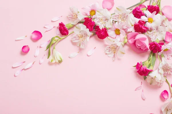 Hermosas Flores Color Rosa Blanco Sobre Fondo Rosa — Foto de Stock