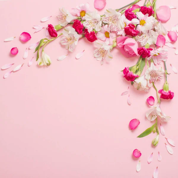 ピンクの背景に美しいピンクと白の花 — ストック写真