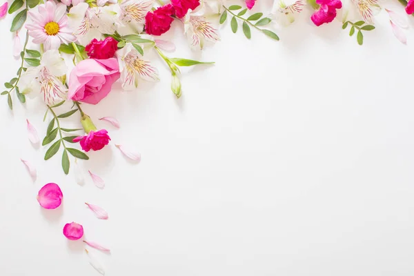Красиві Рожеві Білі Квіти Білому Тлі — стокове фото