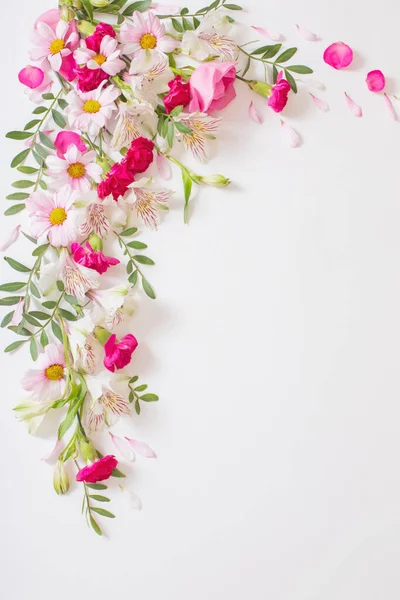 Όμορφα Ροζ Και Λευκά Λουλούδια Λευκό Φόντο — Φωτογραφία Αρχείου