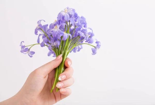 Blue Spring Flowers Womans Hand White Background — Stock Photo, Image