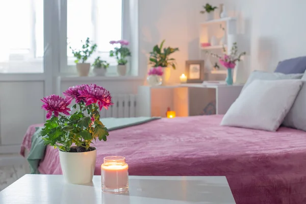 菊の花と寝室のインテリア — ストック写真