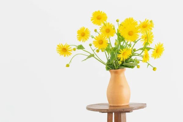 Flores Amarillas Primavera Jarrón Sobre Fondo Blanco — Foto de Stock