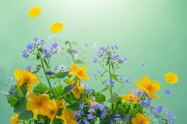绿色背景下的春天蓝色和黄色花朵 — 图库照片
