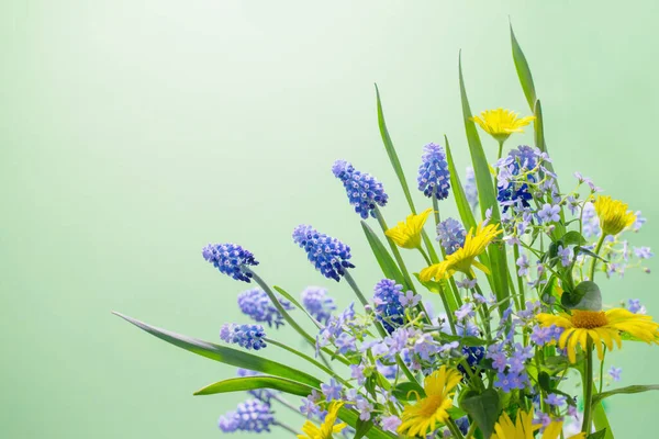 Lente Blauwe Bloemen Groene Achtergrond — Stockfoto