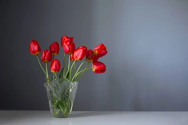 Czerwone Tulipany Szklanym Wazonie Tle Niebieskiej Ściany — Zdjęcie stockowe