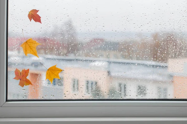 雨窗上的秋叶 — 图库照片