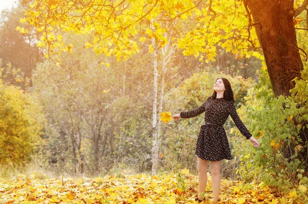 Schöne Brünette Mädchen Herbst Park — Stockfoto