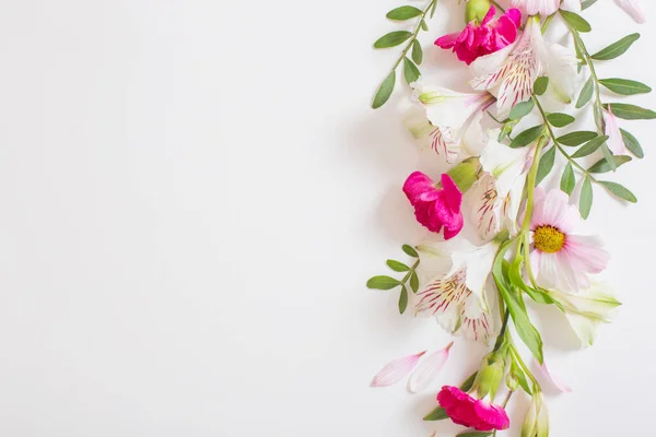 Belas Flores Rosa Branco Fundo Branco — Fotografia de Stock
