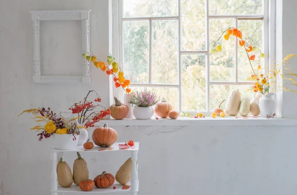 秋天的天然装饰 白色背景上有南瓜和山莓 — 图库照片