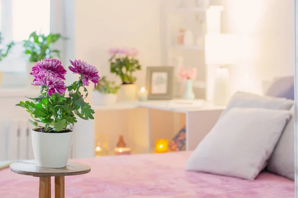 Interior Del Dormitorio Con Flores Crisantemo — Foto de Stock