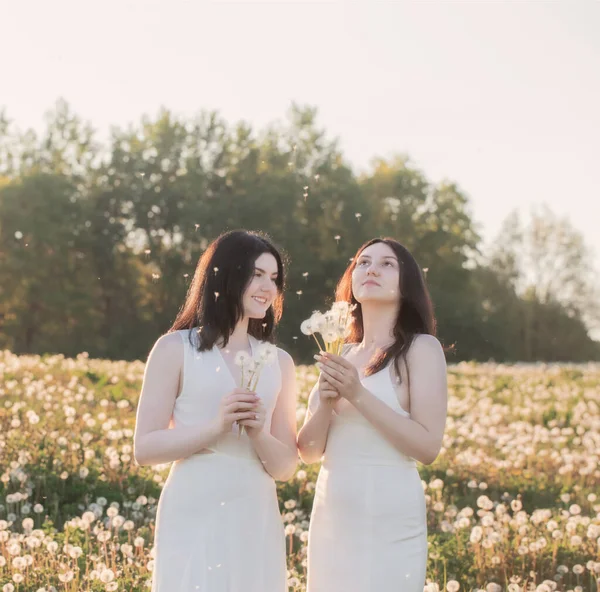 Két Fiatal Gyönyörű Lány Réten Pitypangokkal Naplementekor — Stock Fotó
