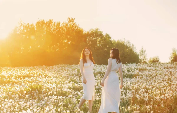 Två Unga Vackra Flickor Ängen Med Maskrosor Vid Solnedgången — Stockfoto