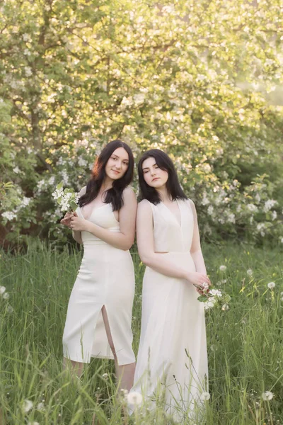 Två Unga Flickor Vit Klänning Bakgrunden Blommande Äppelträd — Stockfoto