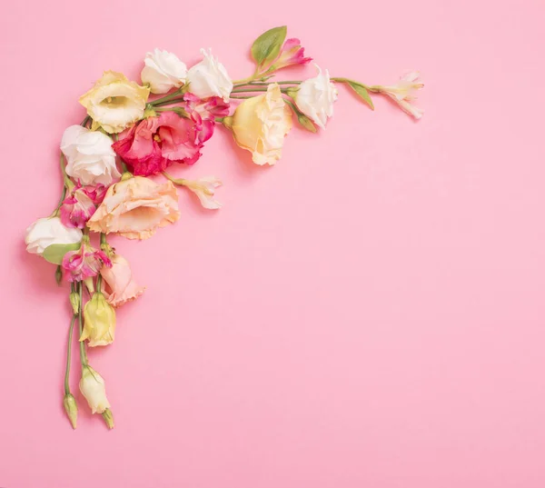 Primavera Belas Flores Fundo Rosa — Fotografia de Stock