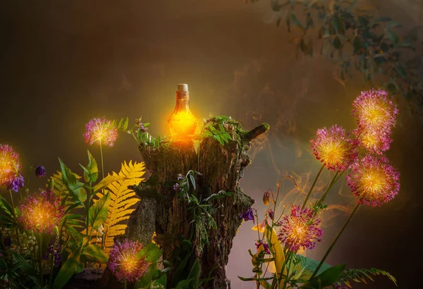 Sihirli Ormanda Sihirli Iksir Şişesi — Stok fotoğraf