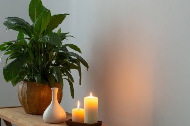 Beyaz ev içi ahşap rafta bitkilerle dolu.