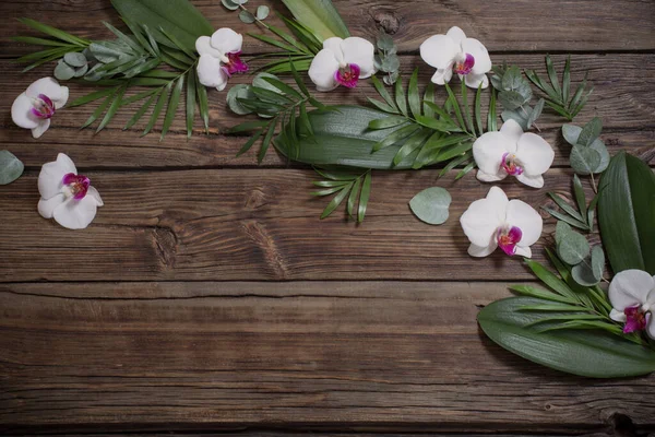 Beautiful Orchids Tropic Leaves Old Wooden Background — Stock Photo, Image
