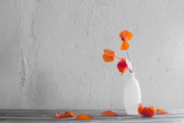 白い背景に白い花瓶に赤いポピー — ストック写真