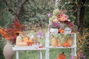 Bahçede balkabaklarıyla sonbahar doğal dekoru