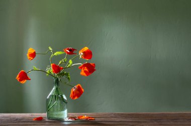 Kırmızı haşhaş yeşil arka planda cam şişede