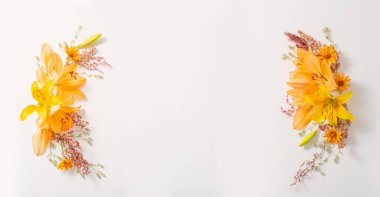 Beyaz arka planda parlak yaz çiçekleri