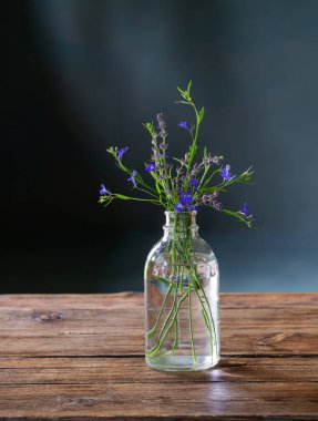 Mavi yaz çiçekleri koyu arkaplanda cam bir şişede