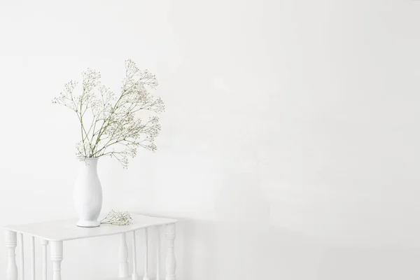 白色背景的旧木架上的白色花瓶中的吉普赛葡萄酒 — 图库照片