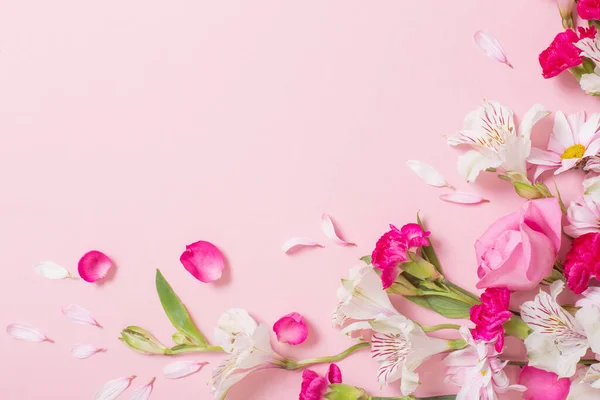 Красиві Рожеві Білі Квіти Рожевому Фоні — стокове фото