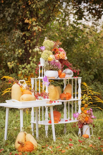 Autumn Natural Decor Pumpkins Garden — Stock Photo, Image