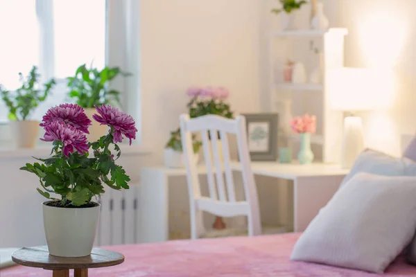 Interior Del Dormitorio Con Flores Crisantemo — Foto de Stock