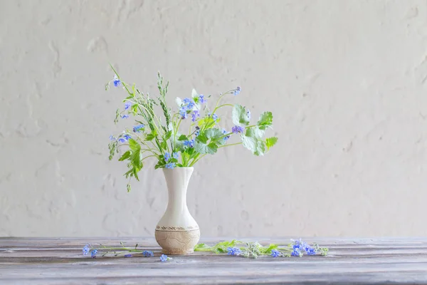 背景の白い古い壁の花瓶の野生の花 — ストック写真