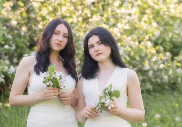 Δύο Νεαρά Κορίτσια Λευκό Φόρεμα Φόντο Ανθισμένη Μηλιά — Φωτογραφία Αρχείου