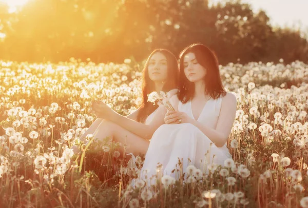 夕阳西下 两个年轻貌美的姑娘坐在草地上 手里拿着蒲公英 — 图库照片