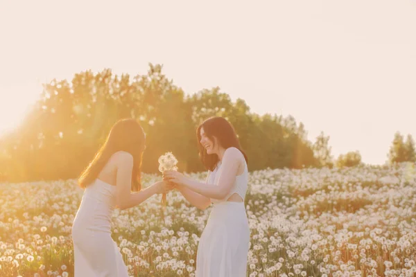 Two Young Beautiful Girls Meadow Dandelions Sunset — Stock Photo, Image