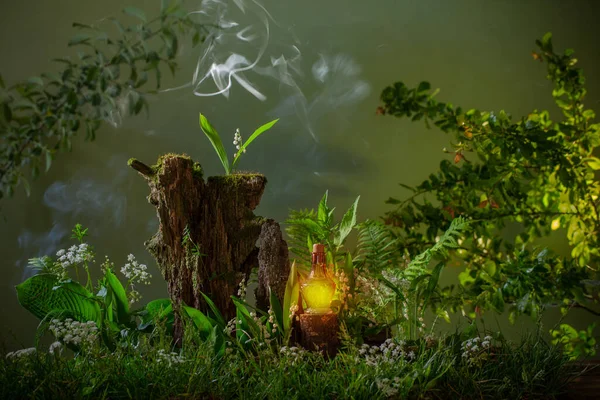 Láhev Magických Lektvarů Kouzelném Lese — Stock fotografie
