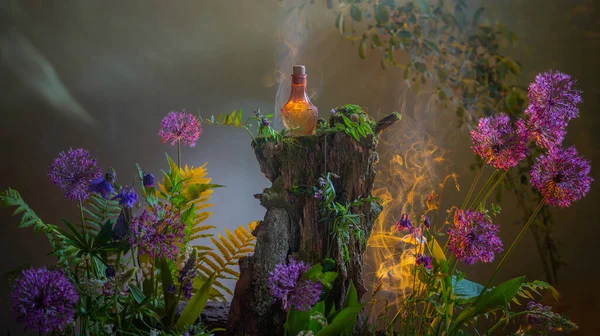 Butelka Magicznych Eliksirów Magicznym Lesie — Zdjęcie stockowe