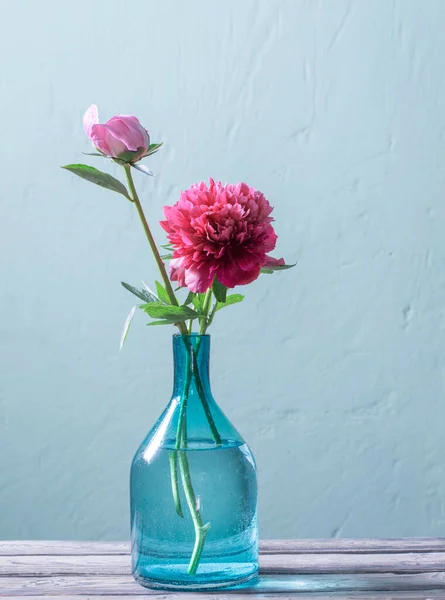 Pink Peonies Glass Vase Green Background — Stock Photo, Image
