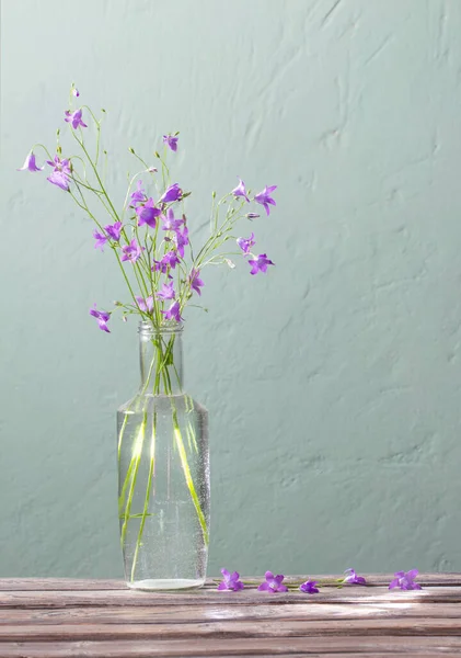 背景绿墙玻璃瓶中的蓝铃花 — 图库照片
