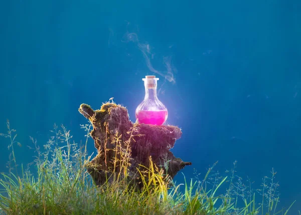 魔法森林里的魔法药瓶 — 图库照片