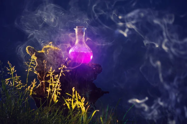 Bottle Magic Potions Magical Forest — Stock Photo, Image