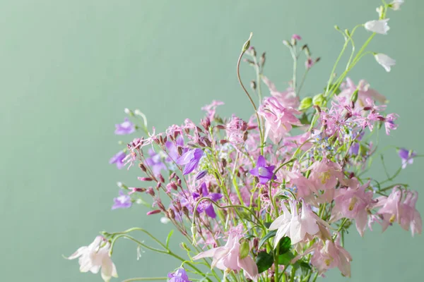 Дикі Квіти Фоні Зеленої Стіни — стокове фото