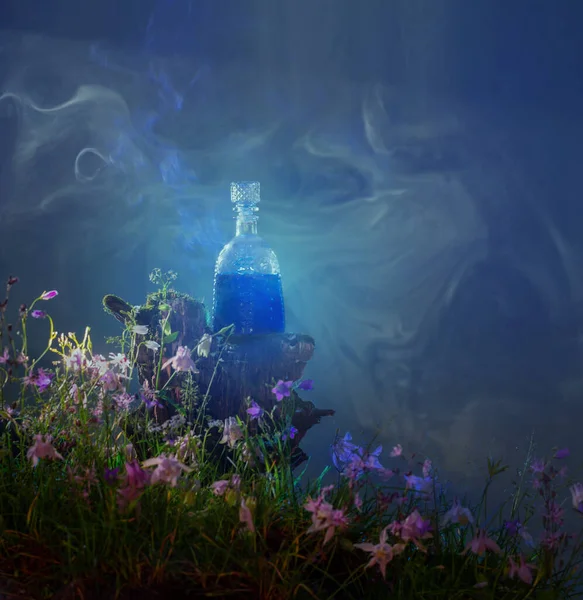 魔法森林里的魔法药瓶 — 图库照片