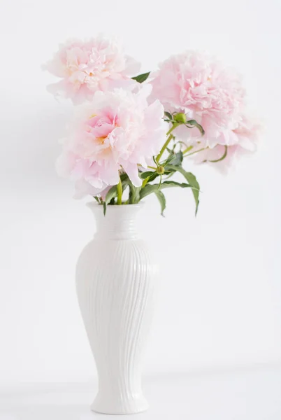 Rosa Pfingstrosen Keramischer Weißer Vase Weißem Interieur — Stockfoto