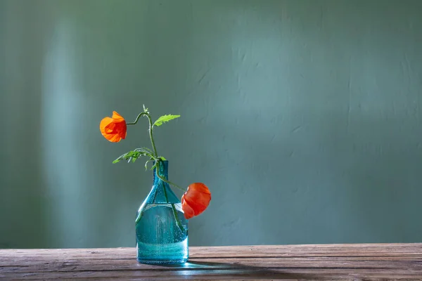 red poppy in glass bottle on green background