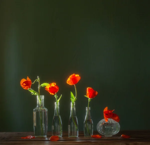 Red Poppies Glass Bottles Green Background — Stock Photo, Image