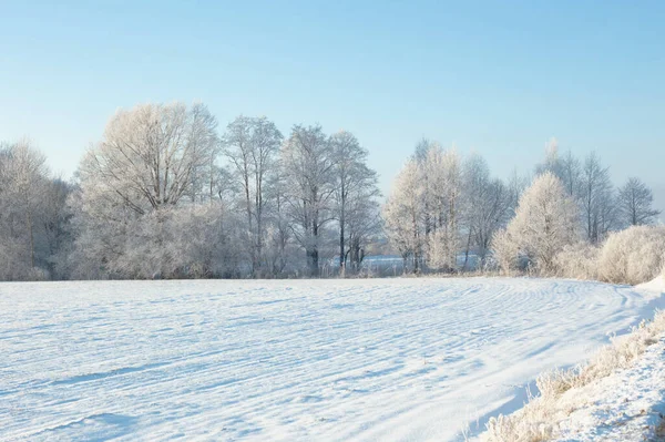 Bela Paisagem Inverno Ensolarado Com Hoarfrost — Fotografia de Stock