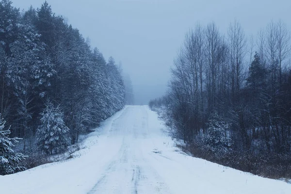 Mavi sisli, karlı kış manzarası